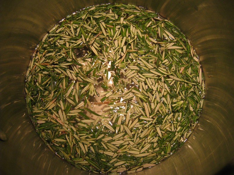 Conditioning Herbal Vinegar Hair Rinse