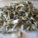 A List of 5 Essential Medicinal Herbs for Spring
