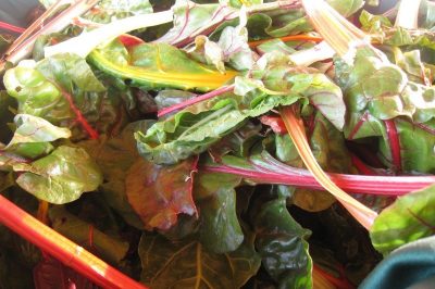 What Should I Do If I Can't Grow a Garden? 1