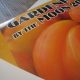 How to Create a Gardening Binder