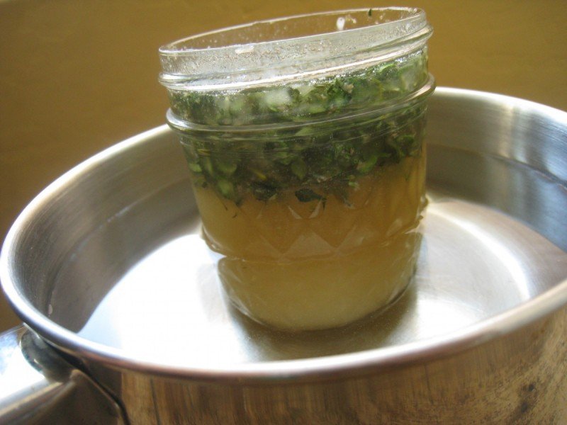 Growing Common Garden Thyme ~ And a Recipe for Thyme Honey