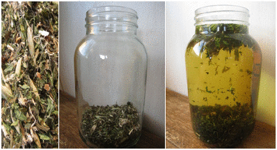 A Sustainable Daily Vitamin Supplement
