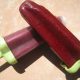How to Make Herbal Popsicles ~ A Recipe 4