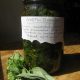 How to Make A Cold and Flu Tincture Using Homegrown Herbs ~ A Recipe 5