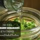 How to Treat Migraines with an Herbal Tincture at Home
