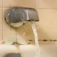 Tips for Treating Household Mold and Mildew Naturally