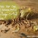 Make Your Own All-Natural Sleep Aid 1