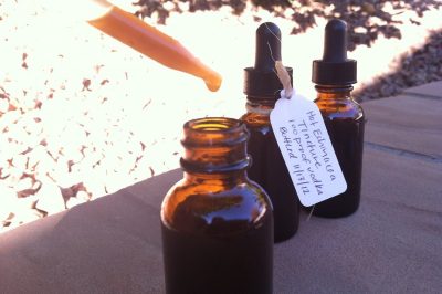Herbs for Winter Health: A Recipe for Hot Echinacea Tincture