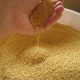 Tips for Buying in Bulk