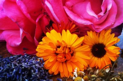 How to Make Homemade Facial Astringents: Recipe for a Fresh Flower Herbal Astringent