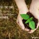 Living Off the Land: How to Earn a Sustainable Income from Home