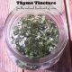 Natural Remedies from the Garden: How to Make an Herbal Astringent for Blemished, Acne-Prone Skin