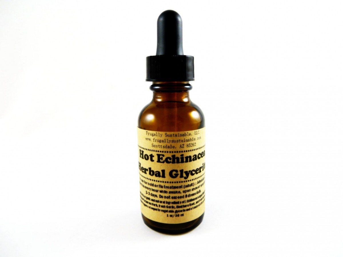 hot echinacea close up Hot Echinacea Tincture by Frugally Sustainable on Esty