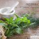 Preserving Herbs :: An All Natural, Independent Insurance Policy