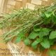 Rosemary Mint Herbal Shampoo & Body Bar