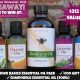 GIVEAWAY! Beeyoutiful Essential Oils & Gift Card (a $212 value)