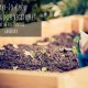 Small Space Gardening? Maximize Your Harvest With These 5 EASY-to-Grow Vegetables. Perfect for the Beginning Gardener! 2