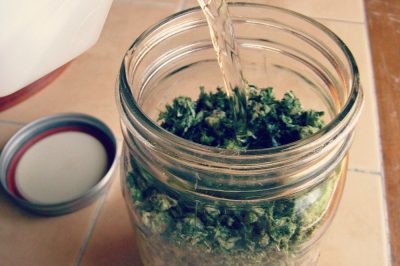 Cannabis Herbal Liniment :: For Fast, Effective Topical Pain Relief