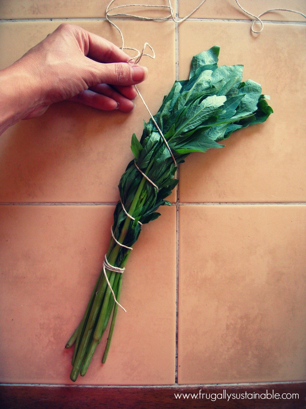 How to make smudge sticks by Frugally Sustainable