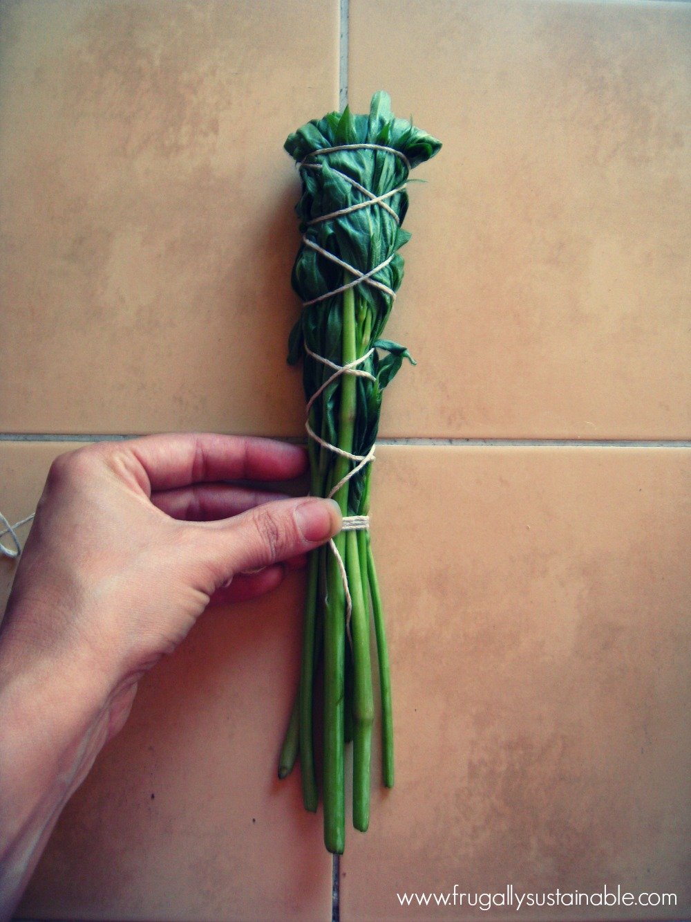 Make your own smudge sticks by Frugally Sustainable