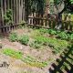 How to Start Homesteading (Inexpensively)