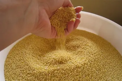 What Items Should Always Be Found In the Pantry: A Suggested List of Pantry Staples 1