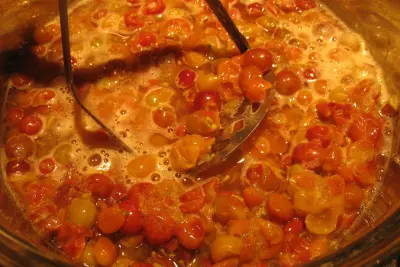 Preserving Grapes: A Recipe for Spiced Grape Butter 7