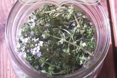 Natural Remedies from the Garden: How to Make an Herbal Astringent for Blemished, Acne-Prone Skin