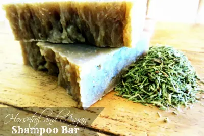 How to Make an Herbal Shampoo Bar Soap :: Horsetail and Argan Oil :: A Recipe for Damaged Hair 2