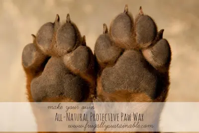 How to Make an All-Natural Protective Paw Wax for Dogs & Cats 1