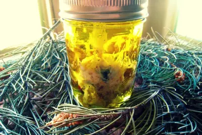 How to Make Pinon (Pinyon) Oil and Salve 2