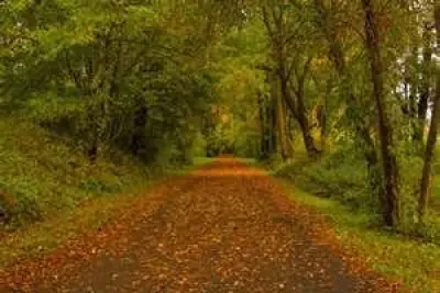 In My Own Words:: Sustainable Living Defined:Part 1