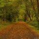 In My Own Words:: Sustainable Living Defined:Part 1